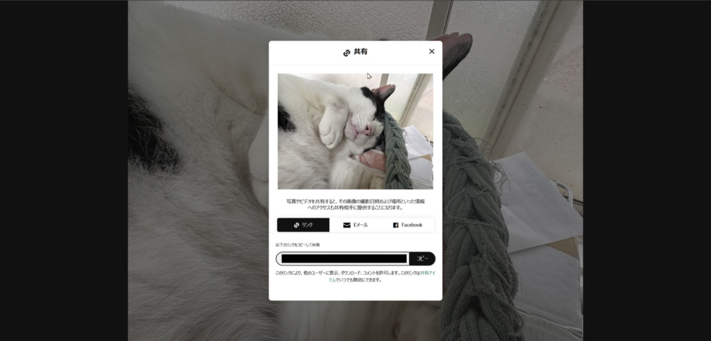 Amazonフォトで写真の共有用リンクをコピーする画面